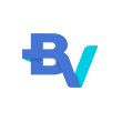 BV Financeira logo